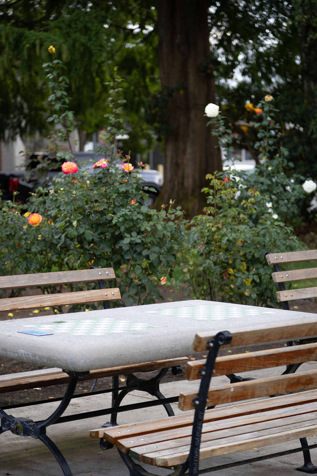 Outdoor chess table and rose garden in Puyallup